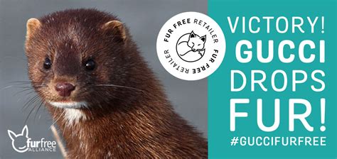 gucci animal welfare|why is Gucci fur free.